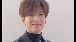 [Seventeen Jeon Wonwoo/Koleksi Tari Gestur] Wonwoo tidak punya banyak tari gestur dengan manajemen e