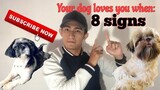 Your dog loves you when: (8 signs)