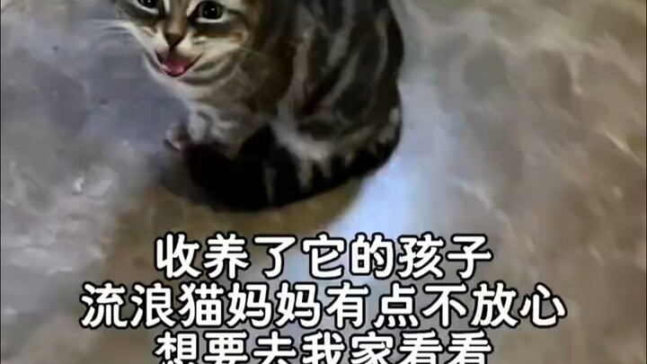 حب الأم العابر للأنواع يثير الدموع ويلمس القلوب