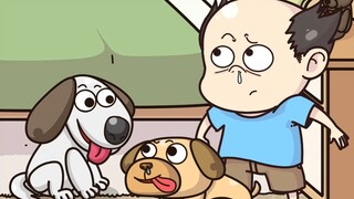 Bệnh sổ mũi của chú chó này tệ hơn nhiều so với con người