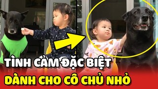 Tình cảm đặc biệt của chú chó Đen dành cho Cô Chủ nhỏ 😍 | Yêu Lu