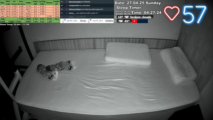 Sleep Stream 27.04.2025
