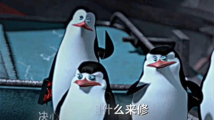 Cool: What did you say? #ThePenguinsofMadagascar #Madagascar #MovieClip