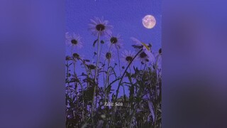“Vì em yêu anh quá cho nên, em vẫn ở bên dù anh chẳng có gì” 😊 sau5894 lyric chillmusic BatNhipCamXuc xuhuong2021