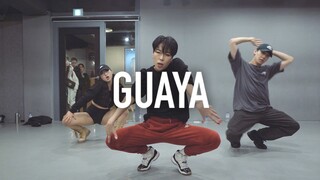 【1M】Hyojin Choi 编舞 Guaya
