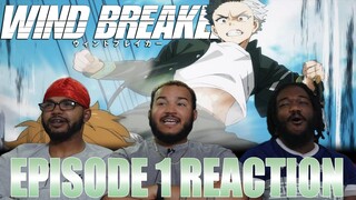 THIS Is What Tokyo Revengers Should Have Been! | Wind Breaker Episode 1 Reaction