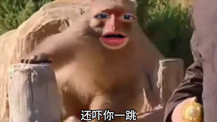 “It’s Too Much Even for a Monkey”