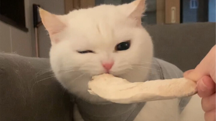 Zhuai Zi’s Mukbang