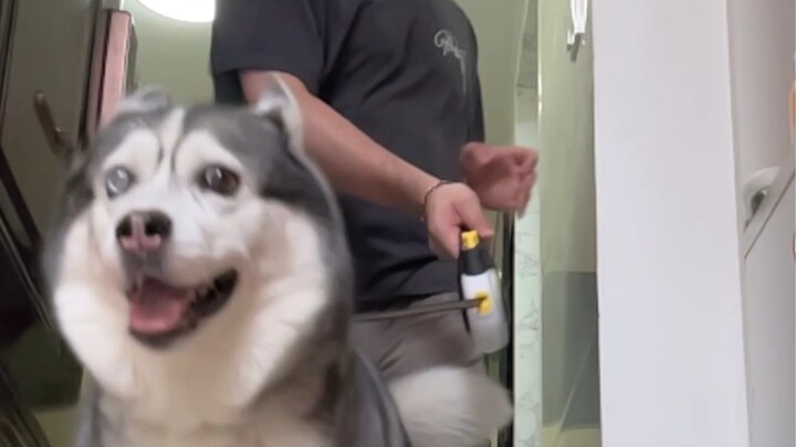 I've been busy all day, and it's been waiting for me all day.