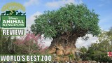 Disney's Animal Kingdom Review, Walt Disney World Theme Park & Zoo | World's Best Zoo