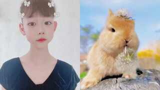 Which rabbit do you like?