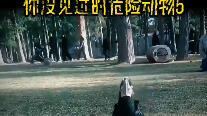 Hewan aneh yang belum pernah Anda lihat