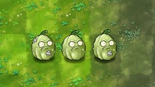 Fusion Plant 257: Kacang Timun!