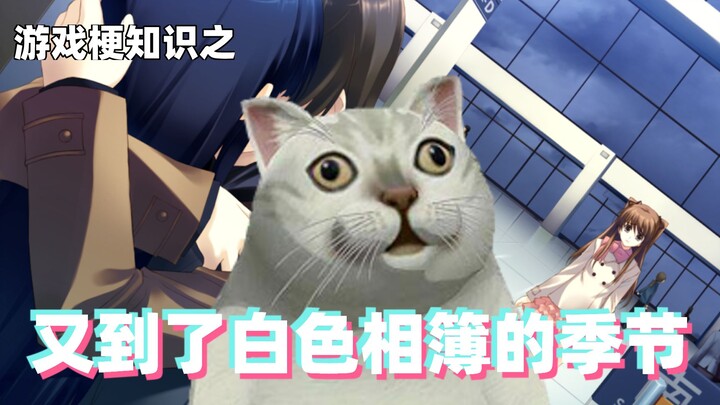 Gaming meme knowledge: It's white album season again!