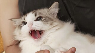 كيف لا يبدو التنفس الذي تعلمتُه من أمي مخيفًا على الإطلاق؟