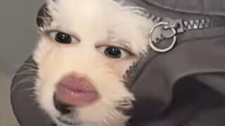 على أية حال، أنا أقوم بتحريره.