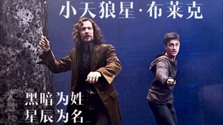 【HP｜小天狼星】教父的优雅是你模仿不来的！｜“他的一生如姓一般黑暗，心灵却像名那样光明”