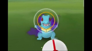 Pokémon GO-Shadow Totodile