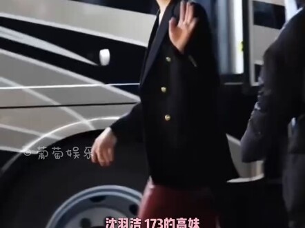 Sebaiknya industri hiburan Tiongkok memproduksi secara massal model dengan tinggi 188 cm, biar para 