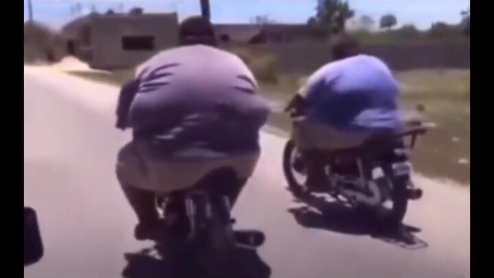 【Funny Daily Life of Earth’s Creatures #53】