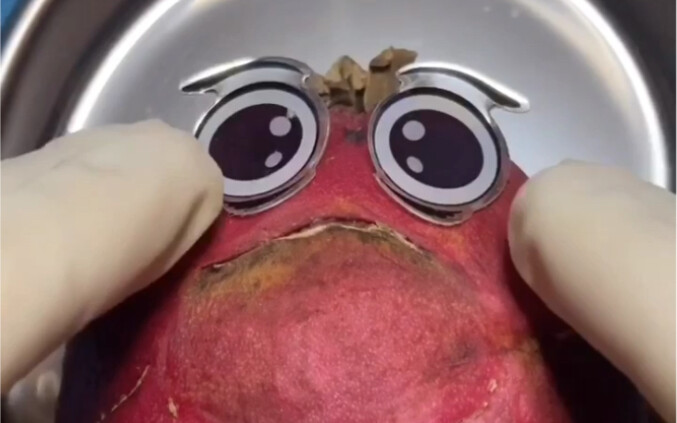 Balas Dendam Sebuah Perut!