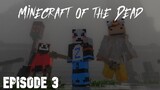 Minecraft of the Dead episode 3 (tagalog roleplay)