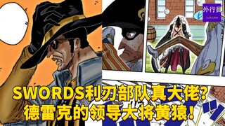 SWORDS利刃部队真大佬？德雷克的领导大将黄猿！#1661