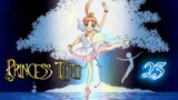 Princess Tutu (Purinsesu Chuchu) Eps.23 Anime sub indo