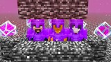 I Trapped My Friends On Nether Roof To Get Revenge