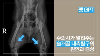 Q. 강아지의 슬개골 내측탈구는 왜 발생하며, 어떤 증상을 보이나요?