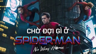 NGƯỜI NHỆN 3 có 3 NGƯỜI NHỆN?