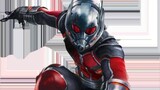 The ant-man gave orders to the ant army, and the server was successfully destroyed in less than a wh