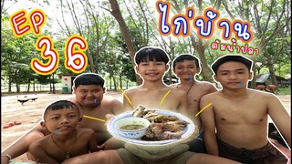 เชฟเรียว :Ep 36 เมนู ไก่บ้านต้มน้ำปลา หอมขนาด!!