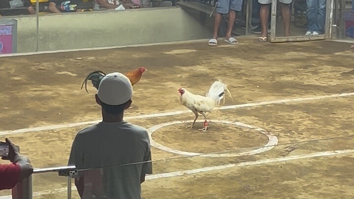 Bruce Barnette Sweater (Lose) 2 Hits Ulutan April 18,2026