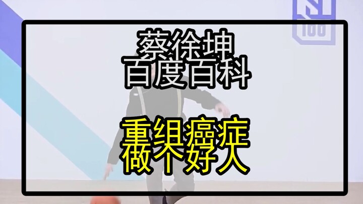 After Google Translate’s 20 attempts at Cai Xukun’s Baidu Baike bio… “On How to Gender-Swap”