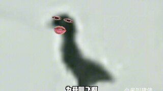 飞远了