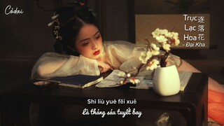 [Vietsub + Pinyin] Trục Lạc Hoa (逐落花) - Đại Kha