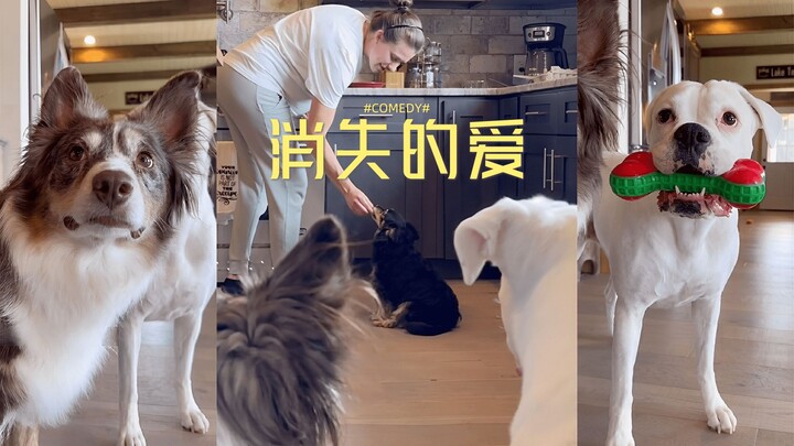 Let’s go!!! We ain’t taking this shit anymore!!! 😤😤😤