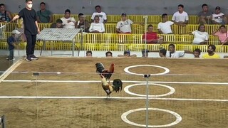 jetsweater  uncratchfight win