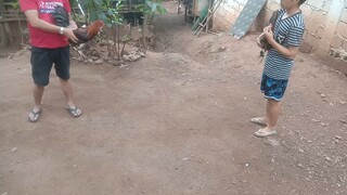 sparring my binabae vs gull line