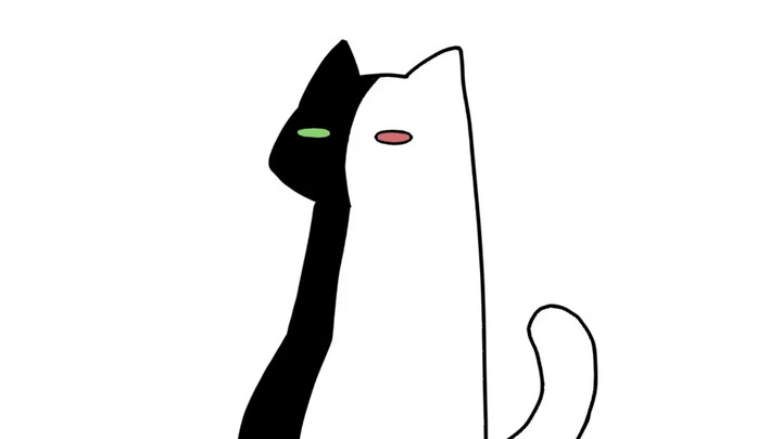 The soft cloth cat attacked Tubao (not