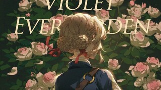 [Violet] Vô Tình Gặp Gỡ Một Lần Trong Đời