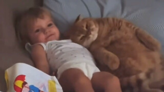 "This might be why kids love keeping cats!"