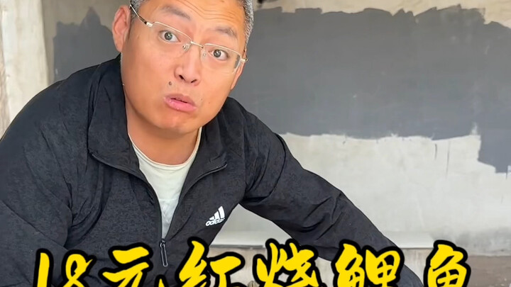 18 Yuan Braised Carp