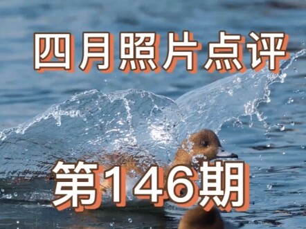 Photo Contest #146 is now open in the comments section—submit your entries, but sensitive souls bewa