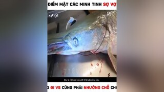 review reviewphim reviewphimhay reviewdoan p1