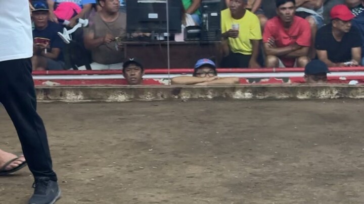 Maganda den ang pinakita lose