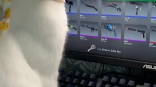 ฮาจิมิ CS2 เปิดกล่องหนึ่งครั้ง วิญญาณเข้าสิง อายุขัย -1