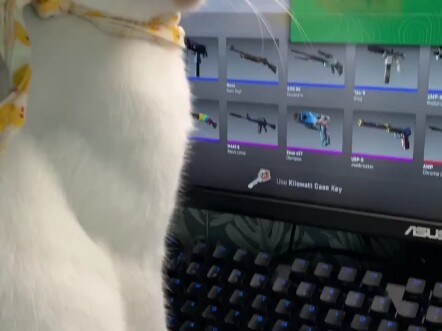 Hajime mở hộp CS2, một Fa nhập hồn, tuổi thọ -1