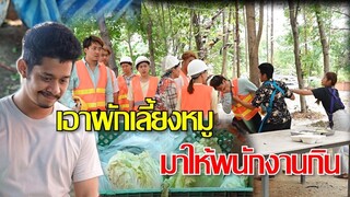 พ่อครัวหัวหมอ เอาผักเลี้ยงหมูมาผัดให้พนักงานกิน